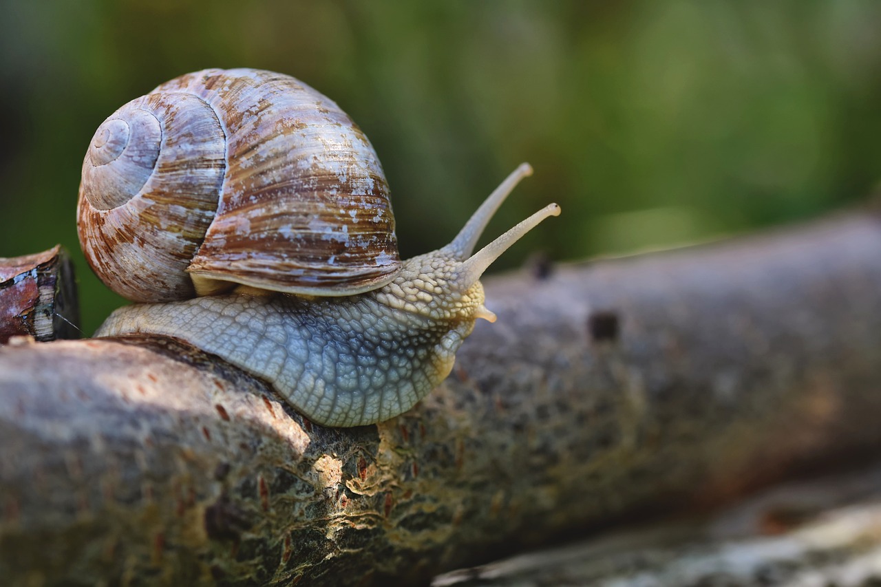 ¿Qué es una sonda de aire?