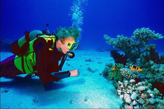 Consejos para empezar a practicar buceo y snorkel