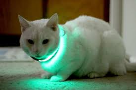 El collar led para mascotas