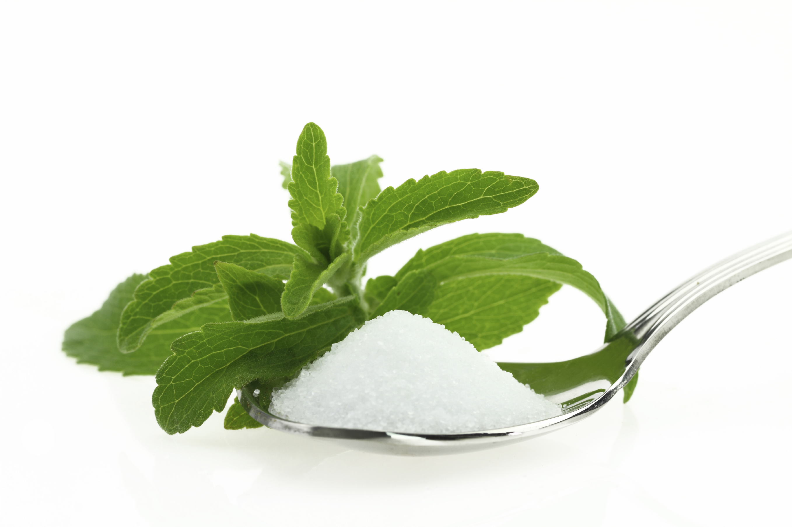 ¿Qué es la stevia?