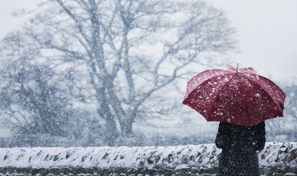 Cómo sobrellevar el invierno (Parte II)