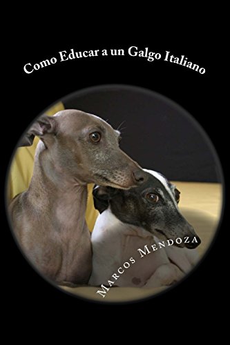 Como Educar a un Galgo Italiano