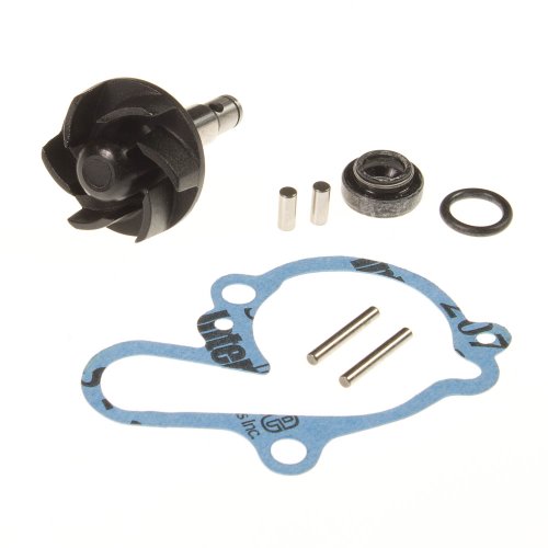 RMS 100110080 - Kit de reparación de bomba de agua para Aprilia, Beta, etc.