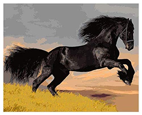 HNZYF Pintura al óleo de bricolaje por números Pintura por kits de números-playa Adosado Caballo Lienzo de lino - Lienzo digital Arte de la pared Pinturas 40x50cm Sin marco-Caballo_40 × 50cm_Enmarcado