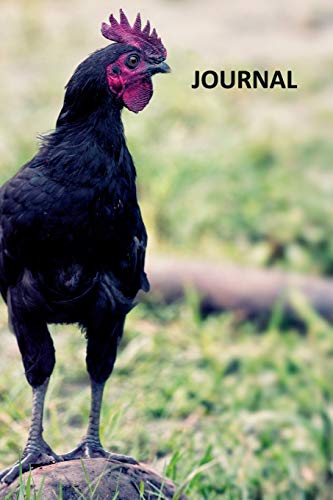 Journal: Laying Hen Colorful Bullet Journal Dot Grid Daily Planner Student for Researching Chicken Coop For Sale Near Me