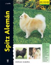 Spitz Alemán (Excellence)