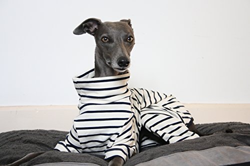 The Trendy Whippet Pijama de Color Crema y Azul Marino con diseño de Rayas, Azabache Italiano, Galgo, Lurcher, Sighthound, Saluki Clothing