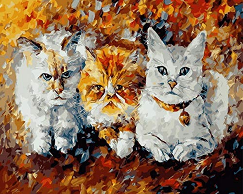 Yrhfys DIY Pintura Al Óleo De Diy Por Números Pintura Al Óleo Kit Adultos Niño Decoración navideña Decoraciones Regalos Tres Gatitos-40 * 50cm(Sin marco)