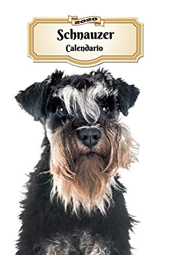 2020 Schnauzer Calendario: 107 Páginas | Tamaño A5 | Planificador Semanal | 12 Meses | 1 Semana en 2 Páginas | Agenda Semana Vista | Tapa Blanda | Perro