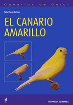 El canario amarillo (Canarios de color)