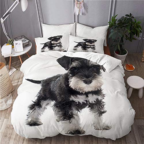 KIMDFACE Funda Edredón，Schnauzer Miniatura Cachorro Delante de Fondo Blanco，Ropa de Cama Funda Nórdica,1（140x200cm）+2（50x80cm）