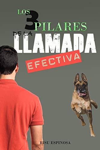 LOS 3 PILARES DE LA LLAMADA EFECTIVA: LAS 3 CLAVES DE UNA LLAMADA EFICAZ