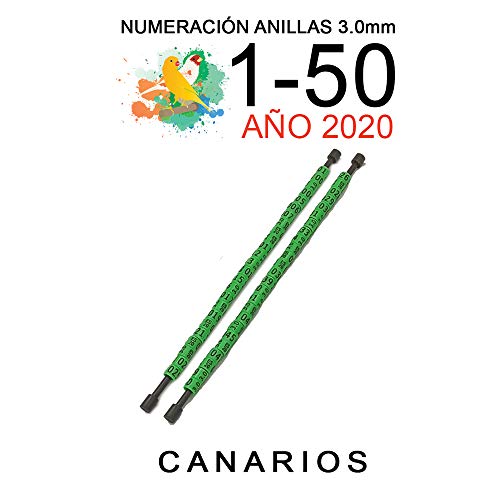 nestQ 50 Anillas Canarios 2020 Color Verde Federativo Policromo Grabado Laser Cerradas 3.0 Milimetros Numeradas con Año Marcado 2 Tiras con Numeración de 1-50
