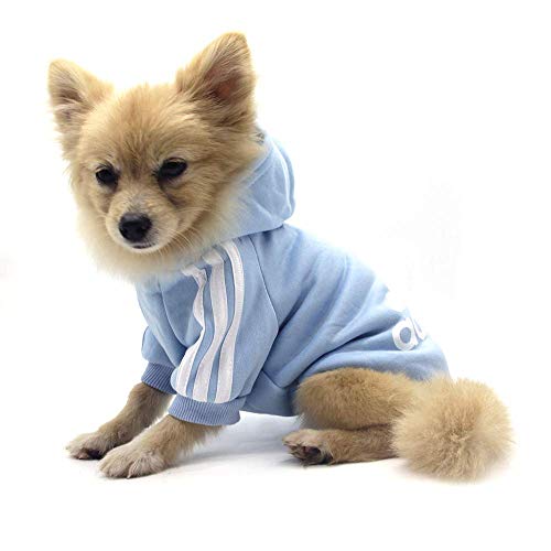 QiCheng&LYS Adidog Dog Hoodie Ropa, Mascota Cachorro Gato algodón Lindo cálido Sudadera con Capucha suéter (XXL, Azul)