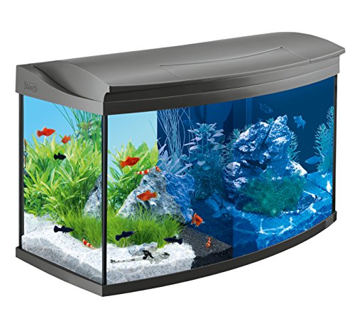 Tetra Acuario Tetra AquaArt LED 100L Set completo 100L