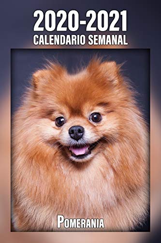 2020-2021 Calendario Semanal Pomerania: 221 Páginas | Tamaño A5 | 24 Meses | 1 Semana en 2 Páginas | Planificador | Agenda Semana Vista | Canófilo | Perro | En Español