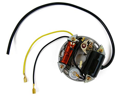 Alternador 6 V 17 W Encendido Compatible con/Pieza de Repuesto para Puch, Kreidler, Sachs, Zundapp, KTM