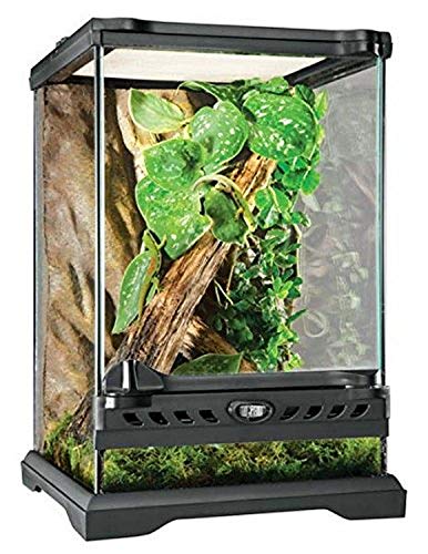 Exo Terra Terrario Nano Tall de 16 L, 20 x 20 x 30 cm