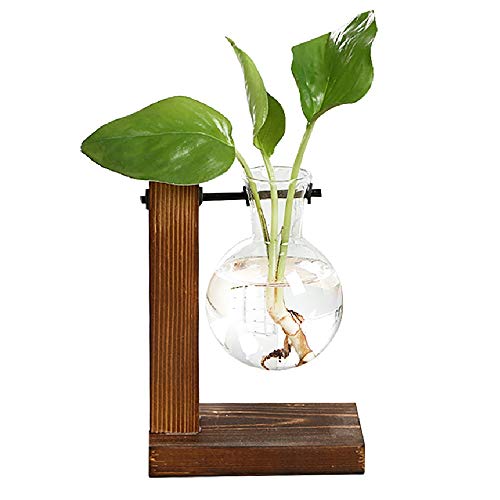 Magiin Jarrón de Vidrio Transparente Terrario de Plantas Colgantes con Soporte de Madera Maciza Retro para Jardinería Planta de Hidroponía Decoración de Casa