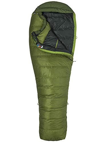 Marmot Never Winter Long Saco de Dormir Ultraligero y cálido, Extra, Relleno de 650 Plumas de Pato, Ideal para Acampar y Trekking, Unisex-Adult, Cilantro/Tree Green, Largo: 198 cm