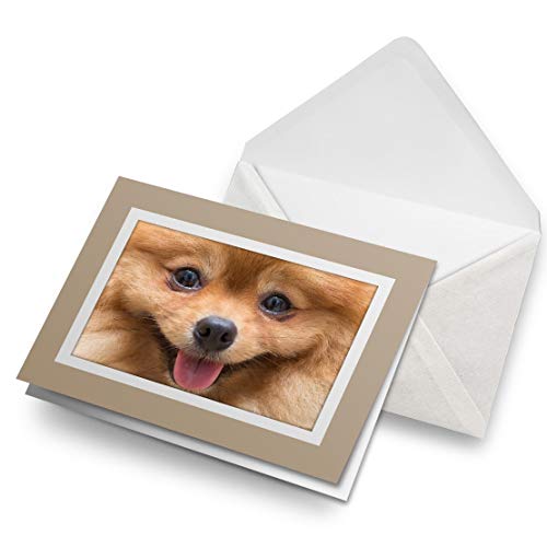 Awesome Greeting Cards - Tarjeta de felicitación de cumpleaños para niños y niñas, diseño de perro Pomerania, color blanco