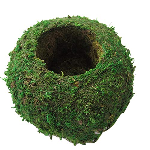 Forart 6 Pulgadas Plantador natural Tejido Bola de musgo Jardinera Kokedama Planta de bonsái Maceta Decoración de jardín Soporte de flores Maceta Planta de jardín Maceta Hidratante en maceta