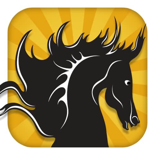 Un Semental Negro: 3D Horsey juego terrestre - FREE Edition