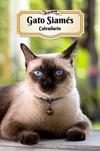 2020 Gato Siamés Calendario: 107 Páginas | Tamaño A5 | Planificador Semanal | 12 Meses | 1 Semana en 2 Páginas | Agenda Semana Vista | Tapa Blanda | Gato