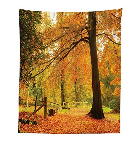 Soefipok Bosque Tapiz, Otoño Otoño Escena del Bosque con Colores Vibrantes y Hojas pálidas Tranquilidad Paz Naturaleza, Tela Colgante de Pared Decoración para Dormitorio Sala de Estar Dormitorio