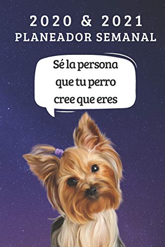 Planificador semanal de dos años para 2020 y 2021 | Regalo Del Propietario Del Perro Yorkshire Terrier | Cita Divertida Libro De Citas | Agenda De dos ... Mensual: 2 Años De planes Mensuales