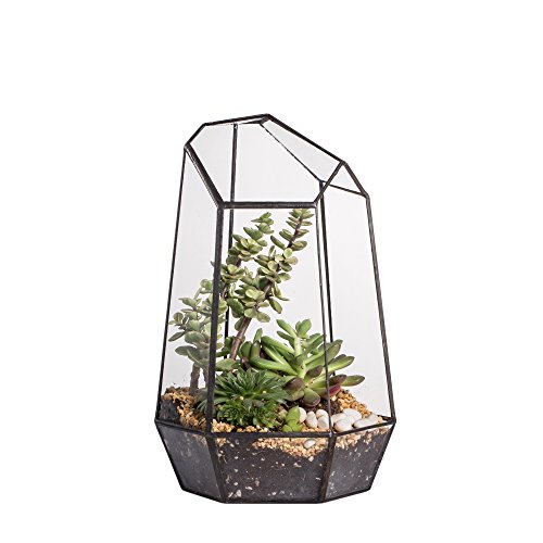 Terrario de forma geométrica de prisma, de cristal, irregular, 25 cm de altura, de sobremesa, para plantas suculentas, helechos y musgo