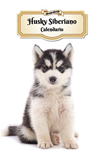 2020 Husky Siberiano Calendario: 107 Páginas | Tamaño A5 | Planificador Semanal | 12 Meses | 1 Semana en 2 Páginas | Agenda Semana Vista | Tapa Blanda | Perro