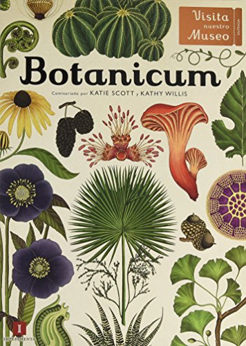 Botanicum: Visita nuestro museo (El chico amarillo)