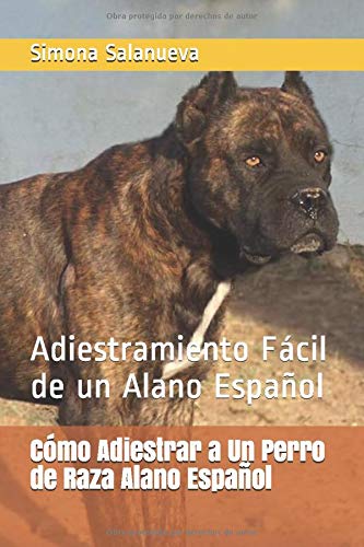 Cómo Adiestrar a Un Perro de Raza Alano Español: Adiestramiento Fácil de un Alano Español