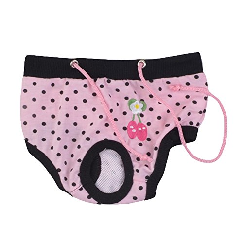 Da.Wa - Bragas sanitarias menstruales menstruales para mascotas, ropa interior para perro, pañales, higiene