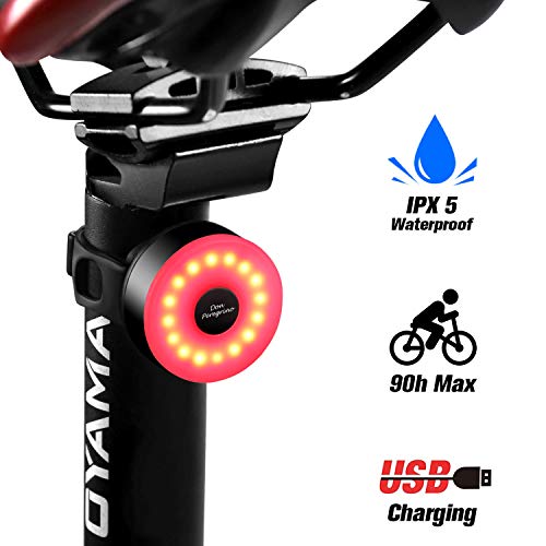 DONPEREGRINO M2 - Luz Trasera Bici Compacta hasta 90 Horas de Autonomía, LED Luz Bicicleta USB Recargable con 5 Modos Fijos e Intermitentes
