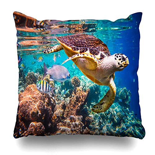 Egoa Throw Pillow Covers Tortuga Carey Eretmochelys Exoticismo Imbricata Flota Bajo Los Animales Medio Ambiente Vida Salvaje Naturaleza Funda De Almohada Decorativa 45X45Cm Librería Co