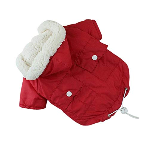 KEYI Perrito del Animal doméstico Capa de la Chaqueta Caliente Ropa for Perros Ropa for Perros Chihuahua Bulldog Francés Amasado del Perro del Invierno Acolchado (Color : Red, Size : M)