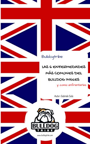 Las 6 Enfermedades más comunes del Bulldog Ingles: Y como enfrentarlas