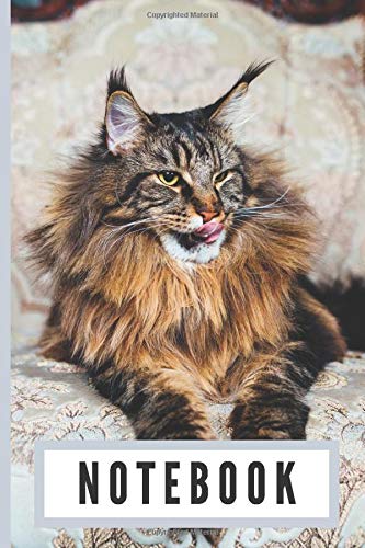 Notebook: Maine Coon - a handy ruled composition book that's a great gift idea for cat lovers