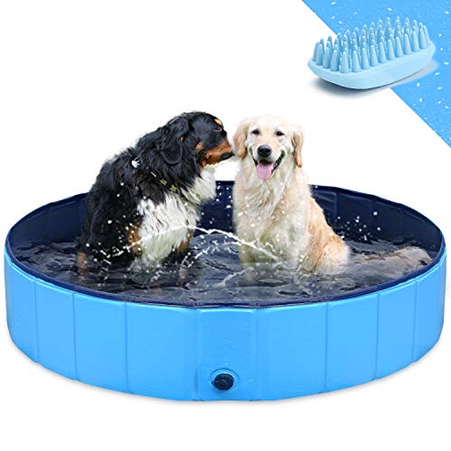 Piscina plegable para perros, piscina de remo para niños, tubo de baño para  mascotas para interiores y exteriores, piscina plegable de plástico duro