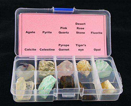 10 piezas diferentes muestras Mineral Piedra con caja de plástico transparente colección Set