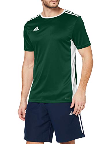 adidas Entrada 88 Camiseta de Fútbol para Hombre de Cuello Redondo en Contraste, Verde (Collegiate Green/White), L