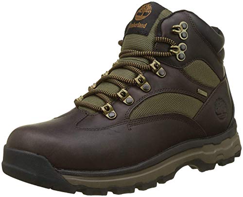 Timberland Chocorua Trail Gore-Tex Waterproof, Zapatillas Chukka para Hombre, Marrón (Dark Brown Full Grain), 42 EU