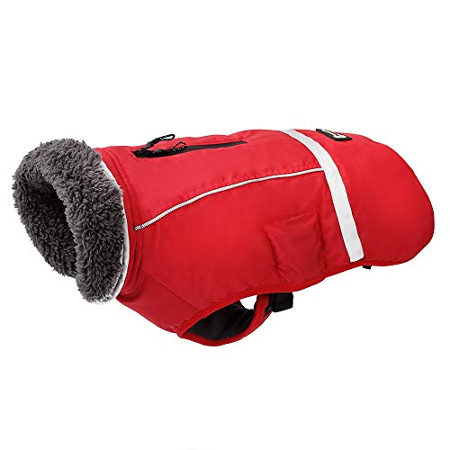 PENIVO Temps Froid Manteaux réfléchissants réglable vêtements de Chien Hiver imperméable en Plein Air Chien Veste pour Chien épaissir Manteau de Chien Chaud pour Petit Moyen Grand Pull (XXXL, Rojo)