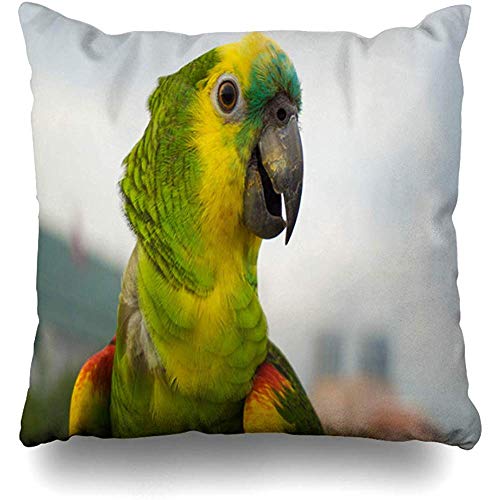 SSHELEY Funda de Almohada Color Azul Aviar Verde Loro Agapornis Pico de melocotón Rama de pájaro Closeup Funda de cojín para Mascotas Funda de Almohada