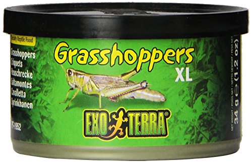 Exo Terra Orthoptera XL, 34 g