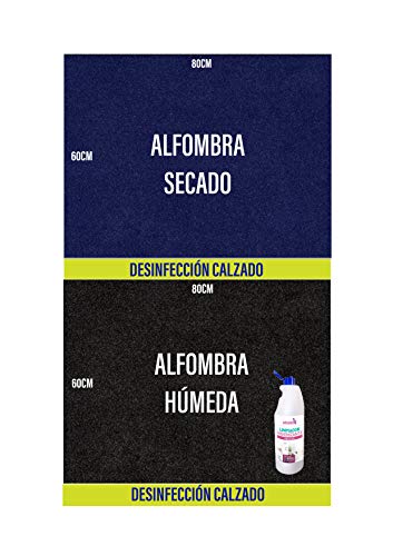 OBLITE Alfombra desinfectante + Limpiador Higienizante (x2), Felpudo Desinfectante para Entrada (80 x 60cm)