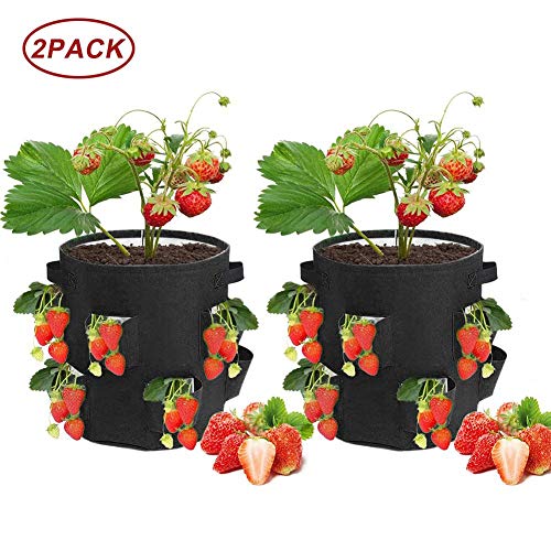 Bolsas Para Plantar Fresas Paquete De 2 Bolsas Para Plantar De 10 Galones Macetas De Tela Bolsas De Tela Transpirables De Primera Calidad Para Contenedores De Fresas / Plantas Con Bolsillos Con Asas