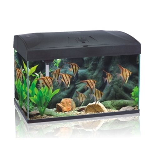 Set Completo de Acuario de 110 l